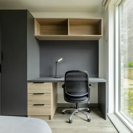 מלון Ashlin House By Argyl (adults Only) קורק